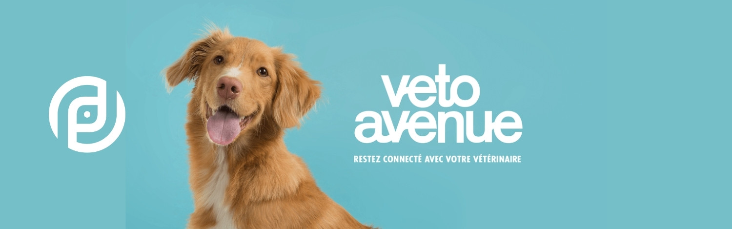 veto-avenue