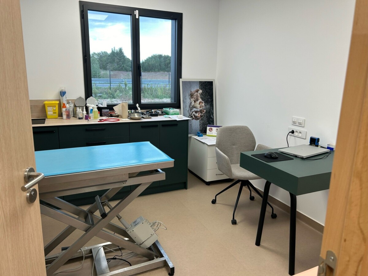 Salle de consultation clinique vétérinaire Vet'Romo, groupe vétérinaire Fovéa