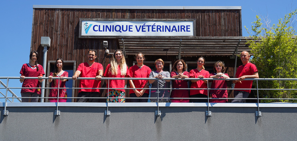 Equipe clinique vétérinaire Andervet au balcon