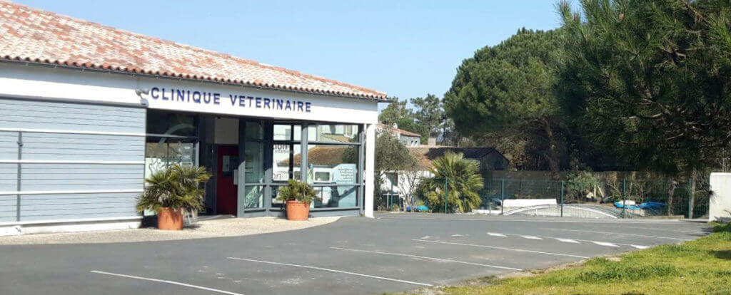 Clinique vétérinaire Ile de Ré