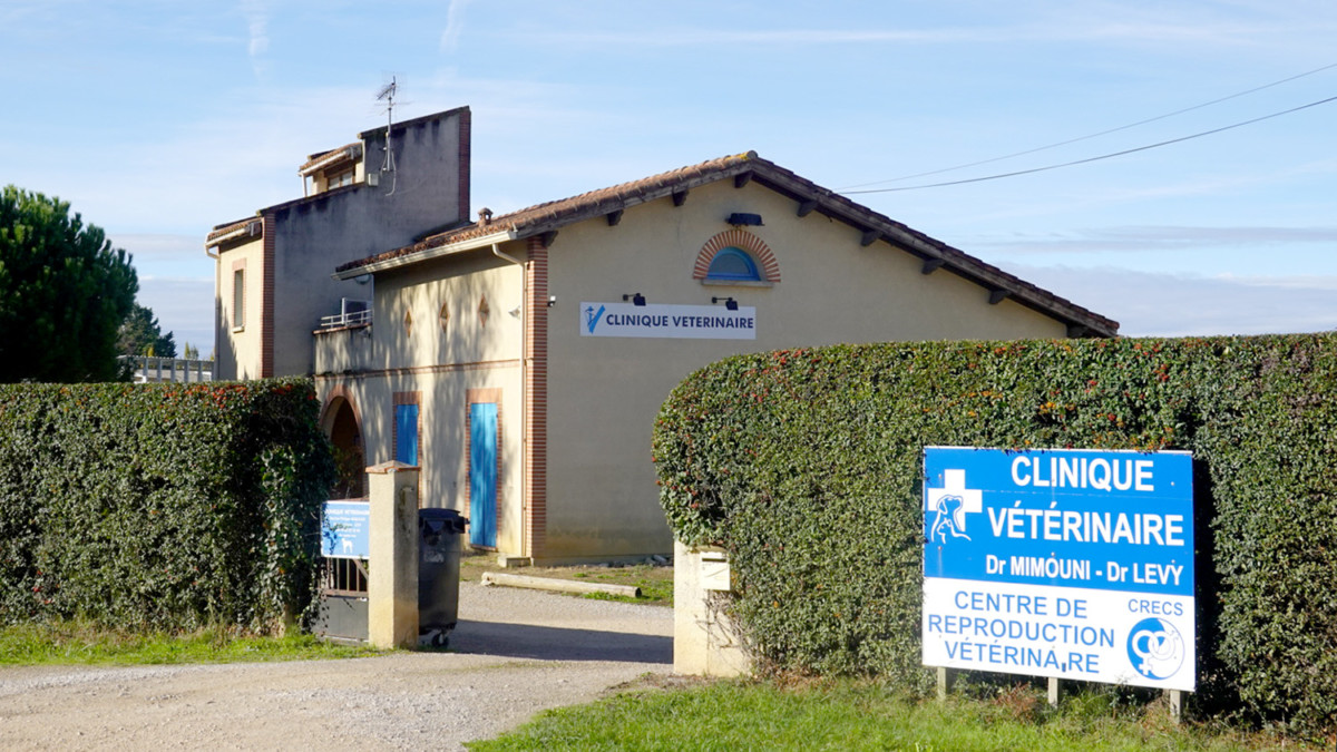 Clinique vétérinaire Portes du Gers