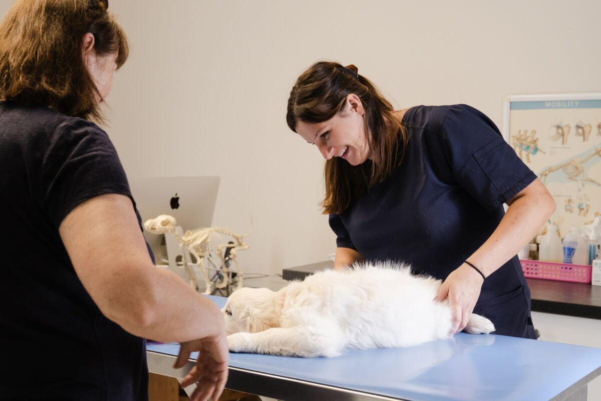 Clinique vétérinaire des Portes du Gers