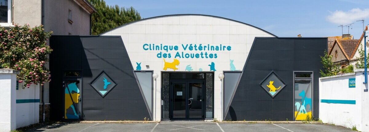 Clinique vétérinaire des Alouettes – Cholet