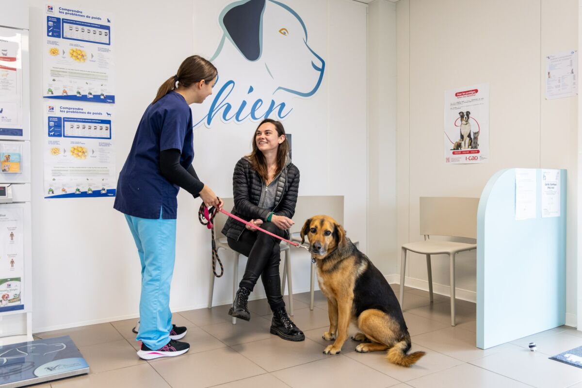 Accueil clinique vétérinaire Collines Les Epesses