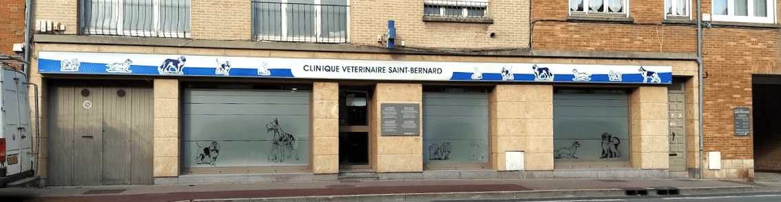 clinique vétérinaire St Bernard, groupe vétérinaire Fovéa
