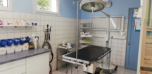 Salle de consultation Clinique vétérinaire des Tilleuls, groupe Fovéa