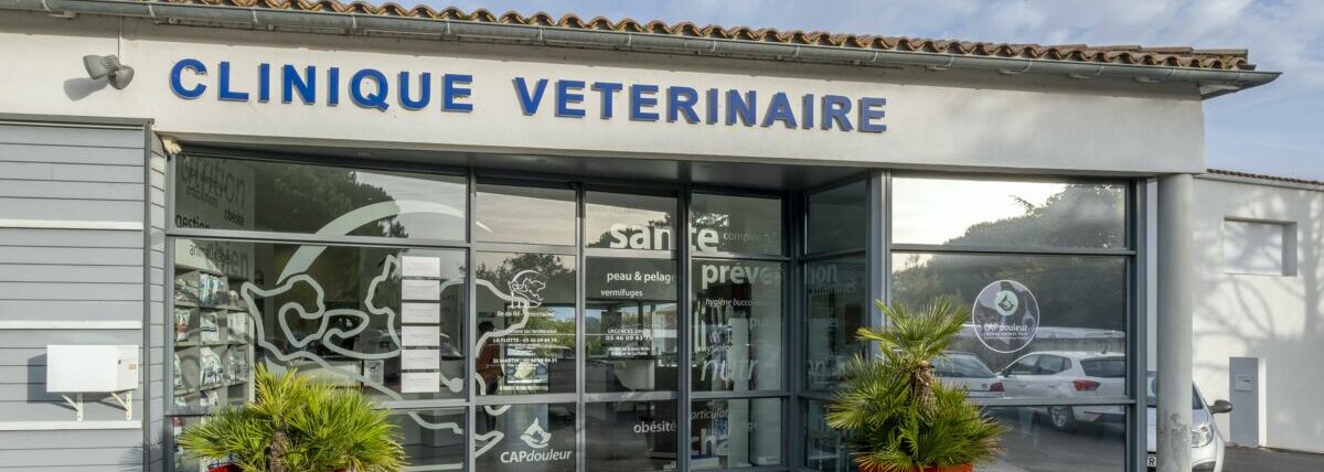 Vétérinaires Ile de Ré – La Flotte-en-Ré