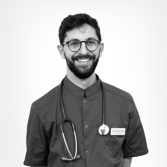 Alexandre Guyonvarch