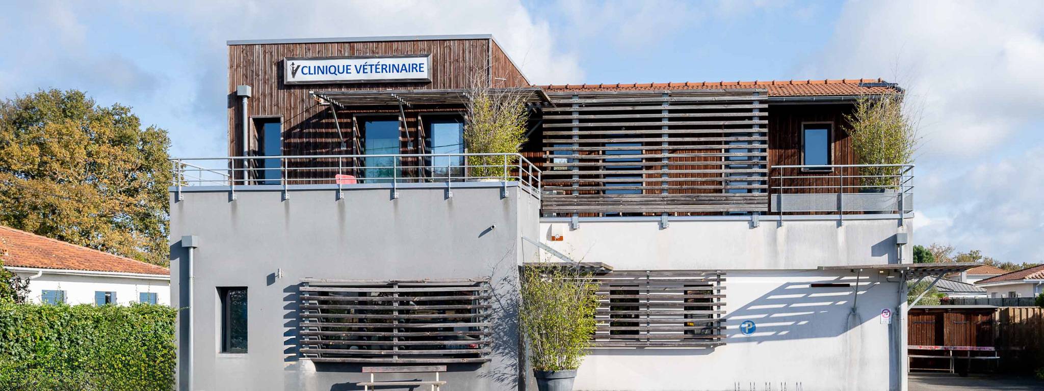 Andervet_BANDEAU-compressed
