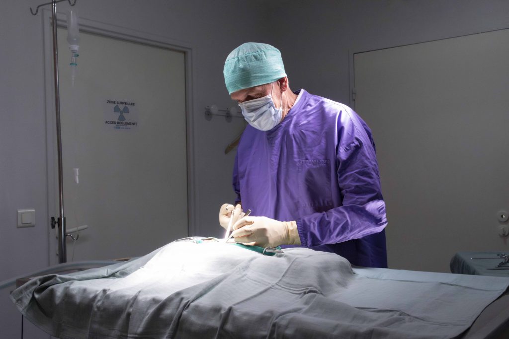 Chirurgie vétérinaire clinique Cœur de Garches
