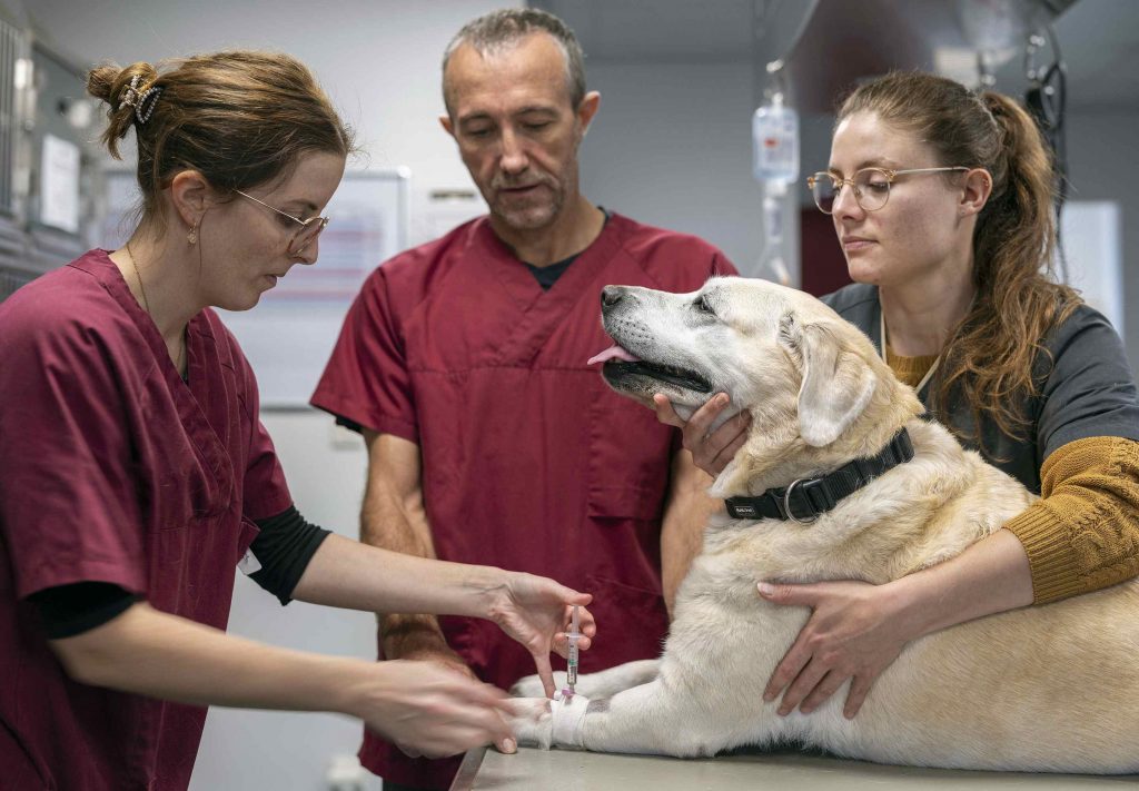Vaccin clinique Animarhea