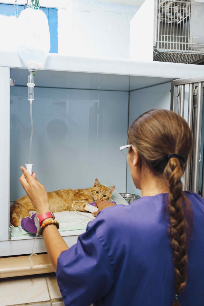 Hospitalisation clinique Beaune à Chissay en Touraine