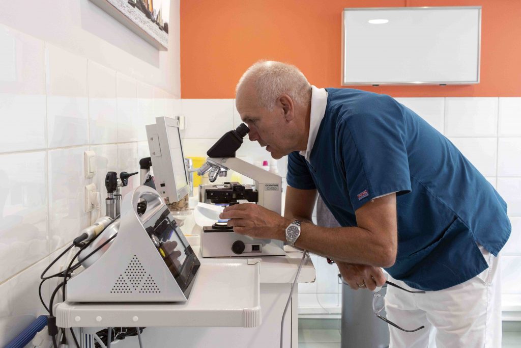 Analyse vétérinaire clinique Cœur de Garches