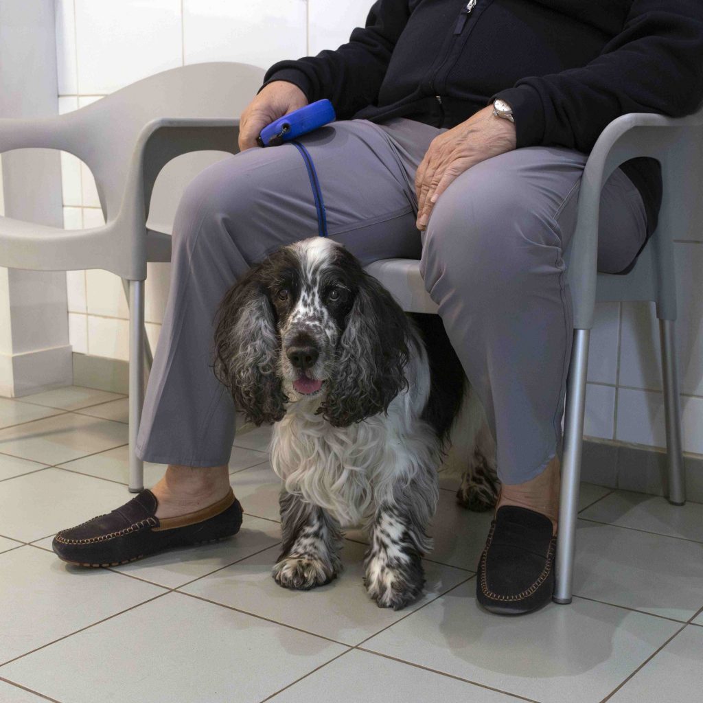 Salle attente vétérinaire clinique Cœur de Garches