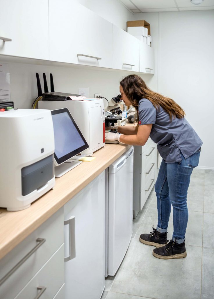 Analyse laboratoire clinique de Corlay