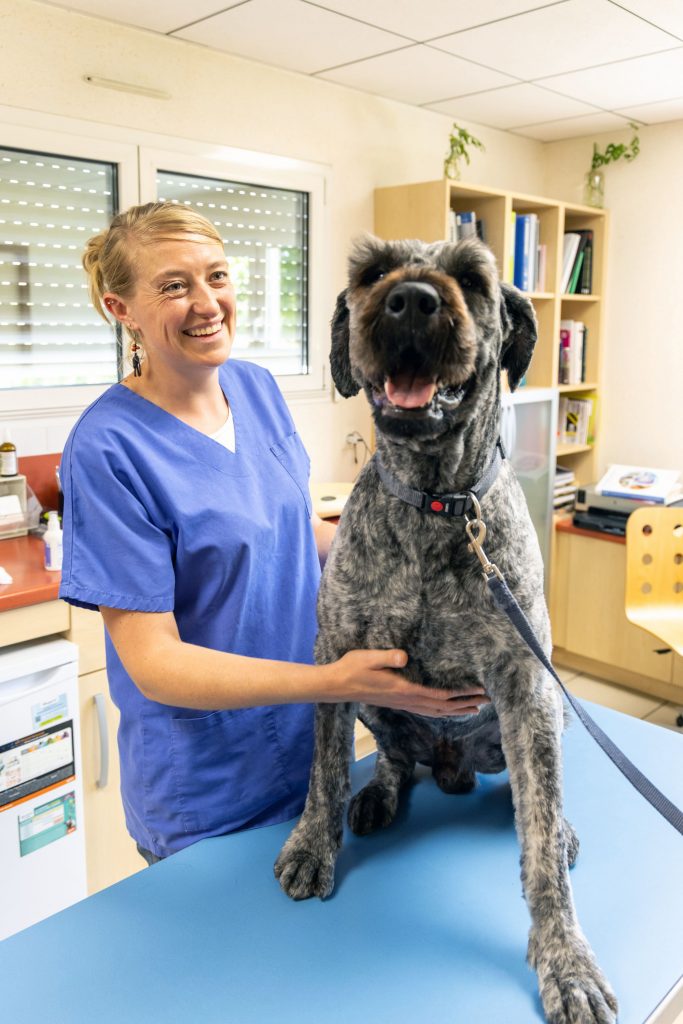 Consultation chien clinique vétérinaire des Alouettes La Verrie