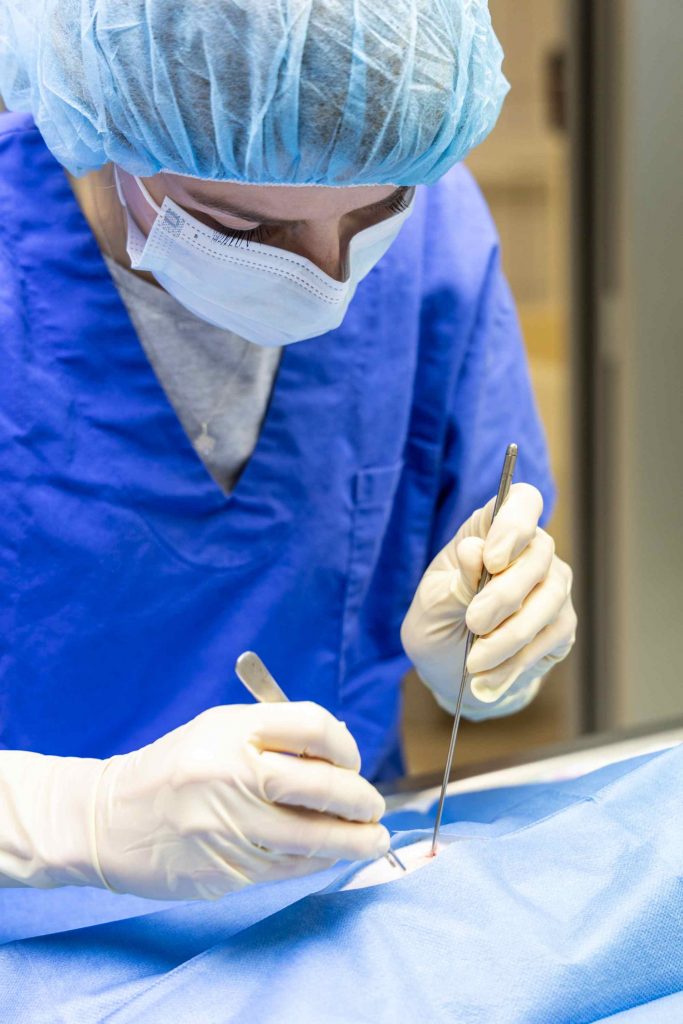 Chirurgie clinique vétérinaire des Alouettes Le May