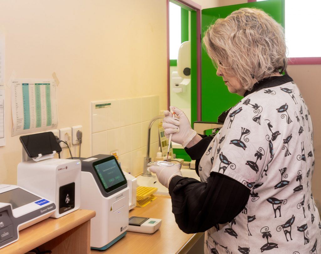 Analyse laboratoire clinique vétérinaire des Bords de l'Adour