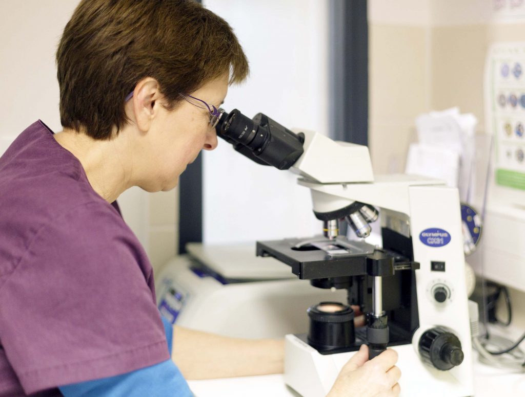 Analyse laboratoire clinique vétérinaire du Gypaète