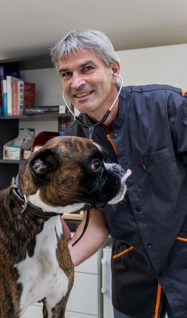 Consultation chien clinique vétérinaire Léonard de Vinci, Beaupréau