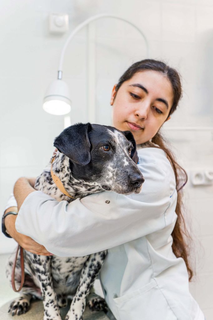 Hospitalisation clinique vétérinaire de Louans