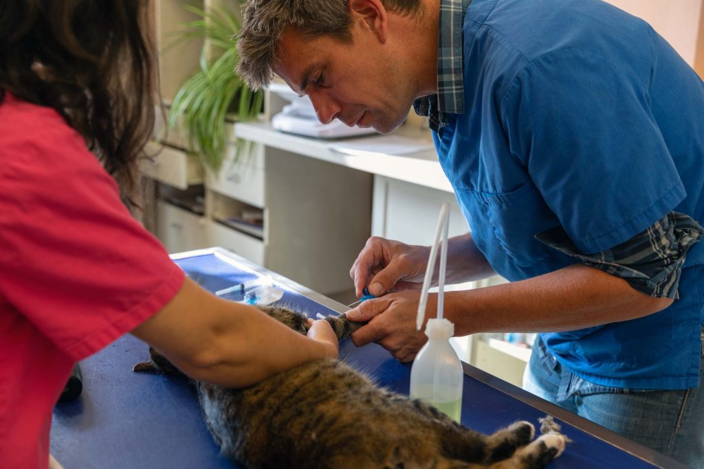 Vaccin clinique vétérinaire des Quais