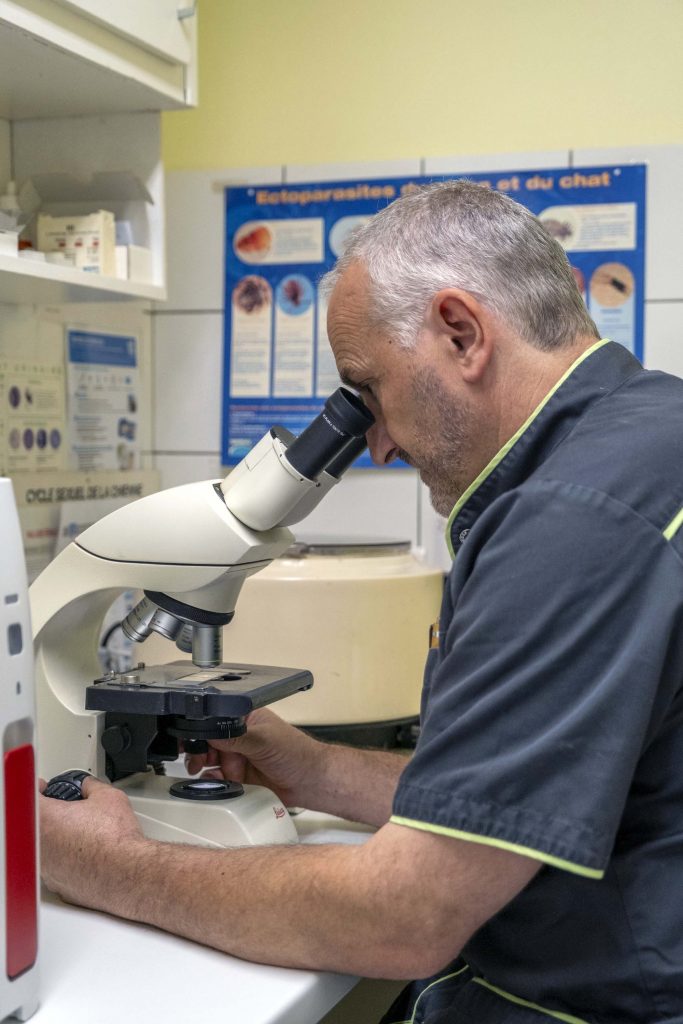 Analyse laboratoire clinique vétérinaire des Tilleuls