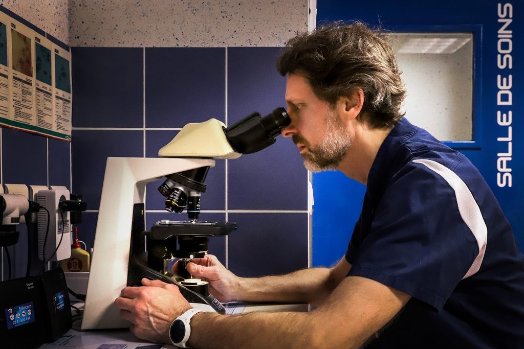 Analyse laboratoire clinique vétérinaire du Val du Cher