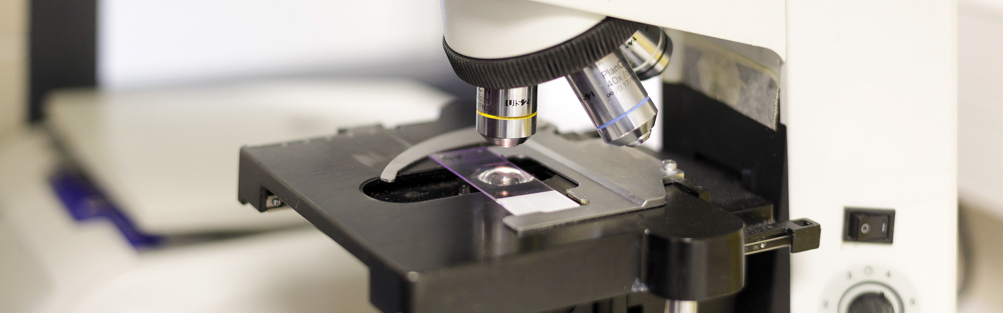 Coproscopie pour ruminants