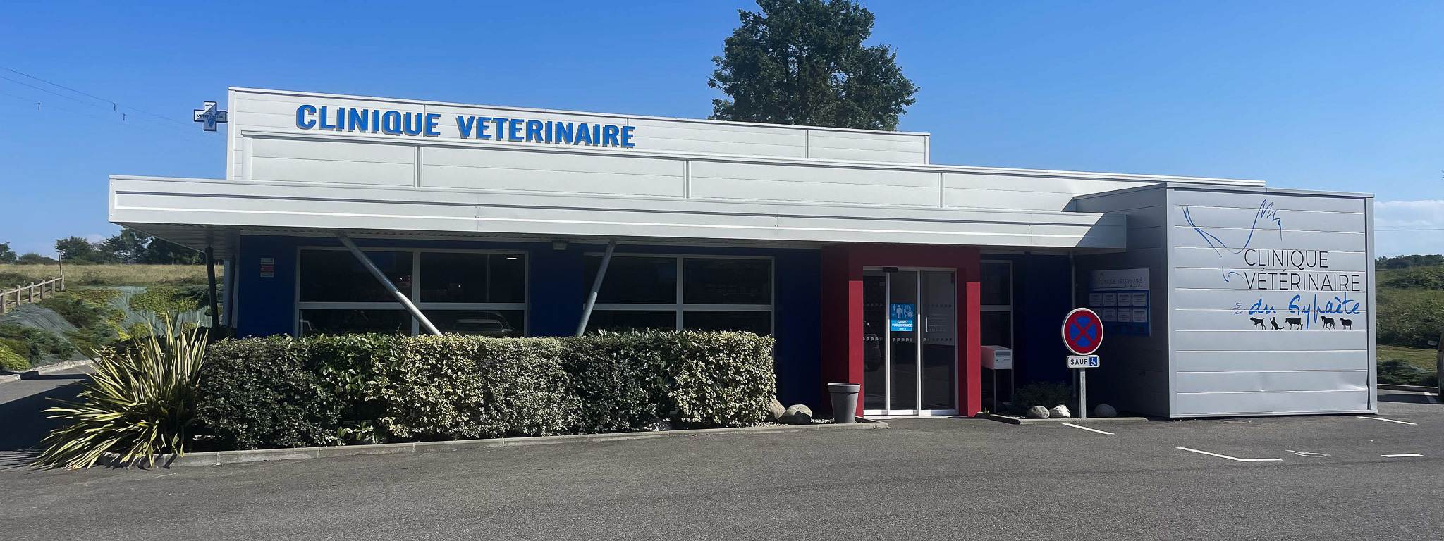 Gypaète_BANDEAU-compressed