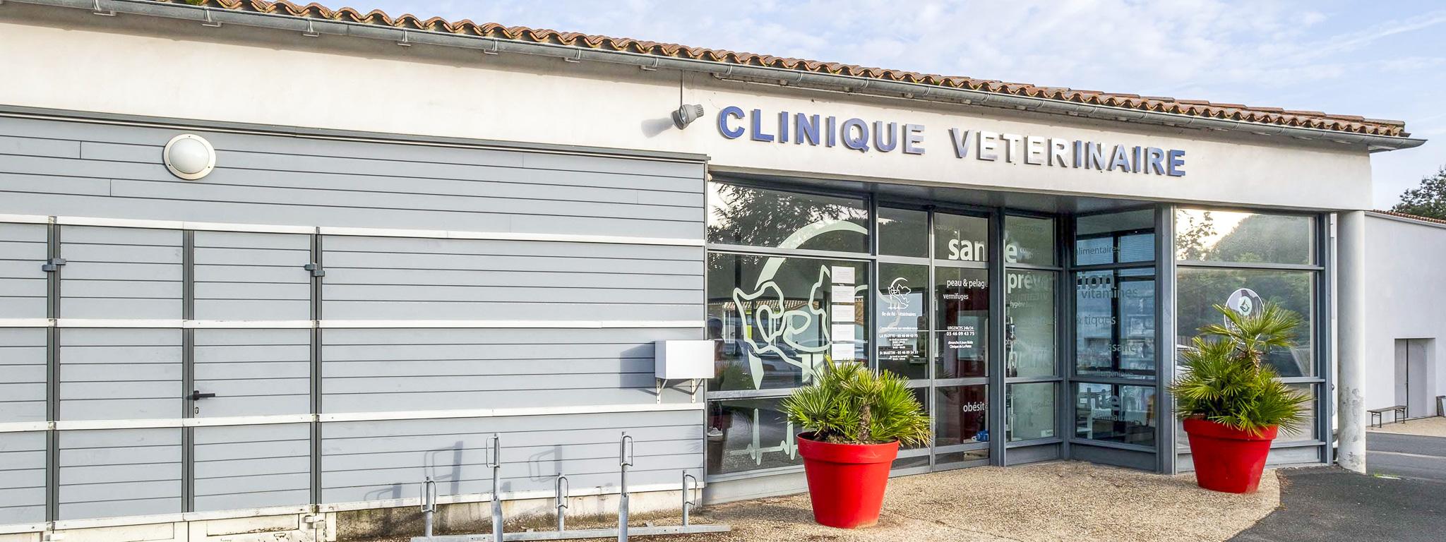 Ile de Ré_BANDEAU-compressed