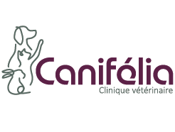Clinique vétérinaire Canifelia