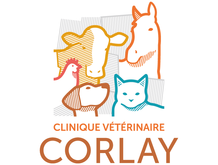 Clinique vétérinaire de Corlay