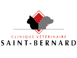 Clinique vétérinaire Saint Bernard