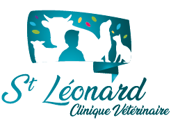 Clinique vétérinaire Saint Léonard