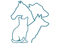 Clinique vétérinaire VétAdour