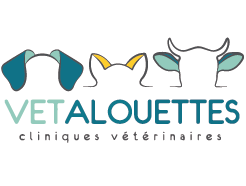 Clinique vétérinaire des Alouettes – La Verrie