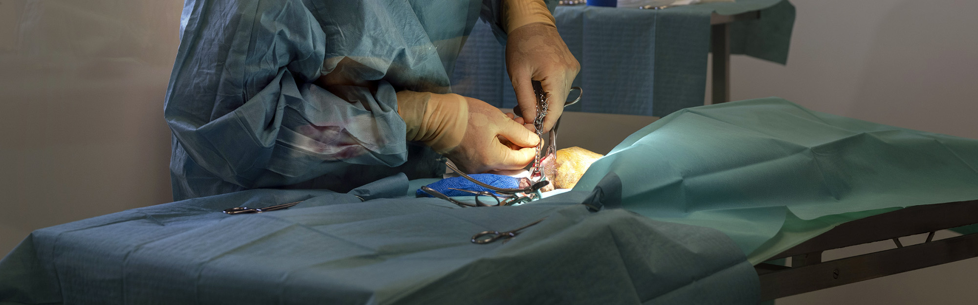 Orthopédie vétérinaire