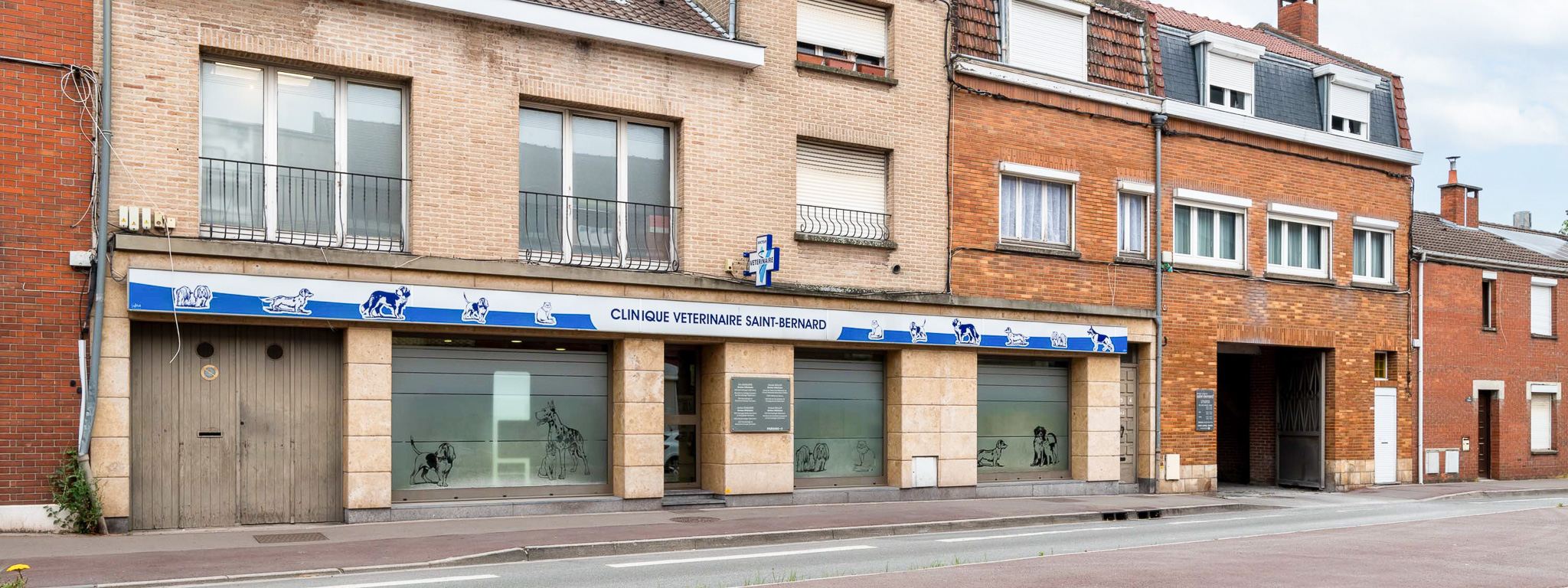 Saint Bernard_BANDEAU-compressed