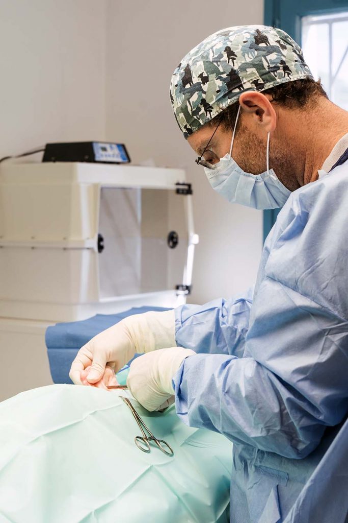 Chirurgie clinique vétérinaire des Portes du Gers