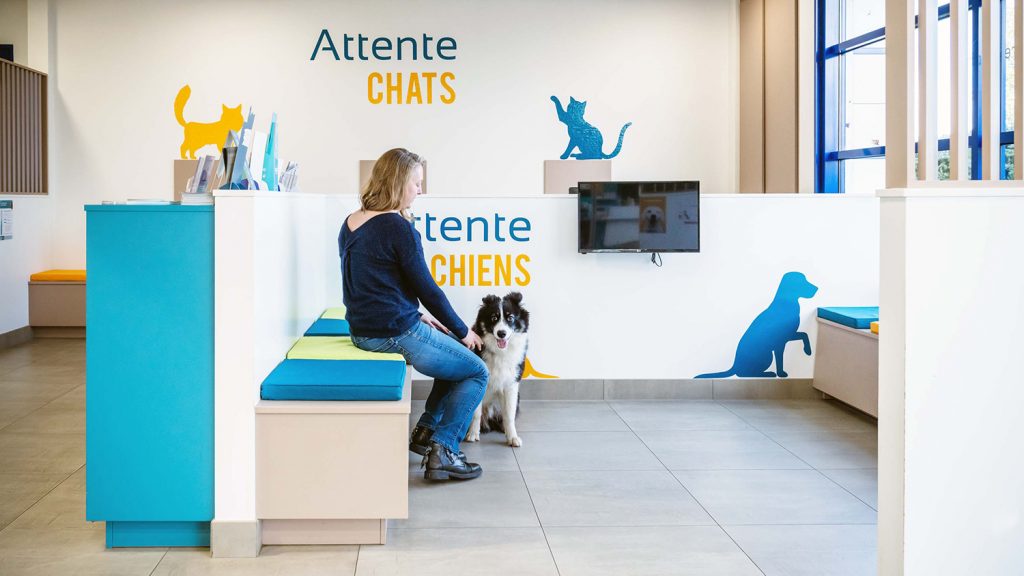 Salle d'attente clinique vétérinaire de Plancoët