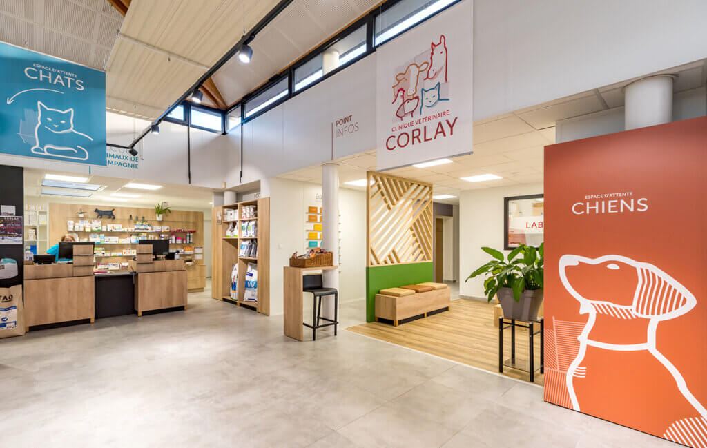 Salle attente chien clinique vétérinaire de Corlay, groupe vétérinaire Fovéa
