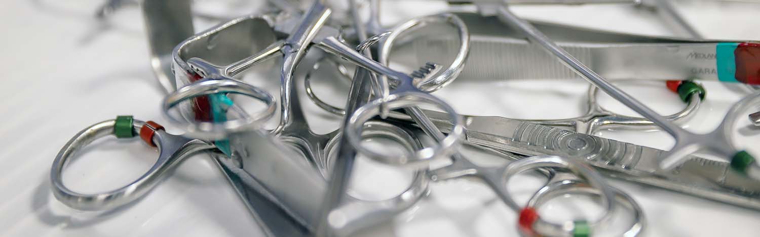 Chirurgie vétérinaire