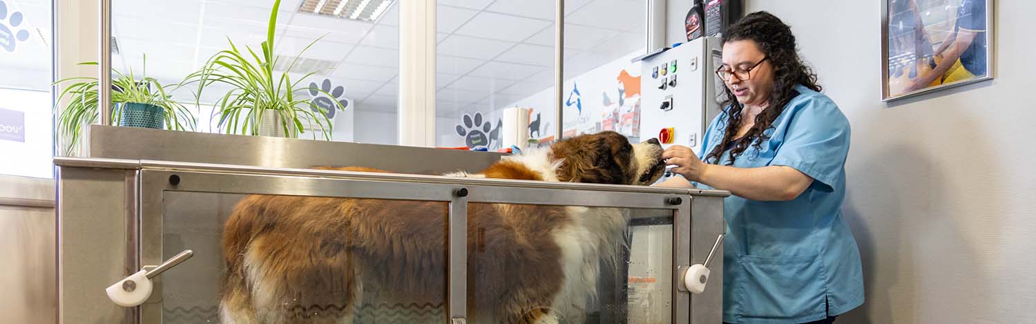 Médecine complémentaire vétérinaire