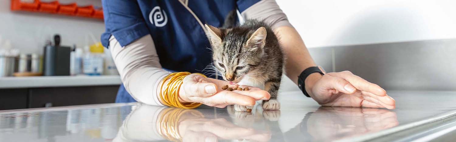 Nutrition vétérinaire