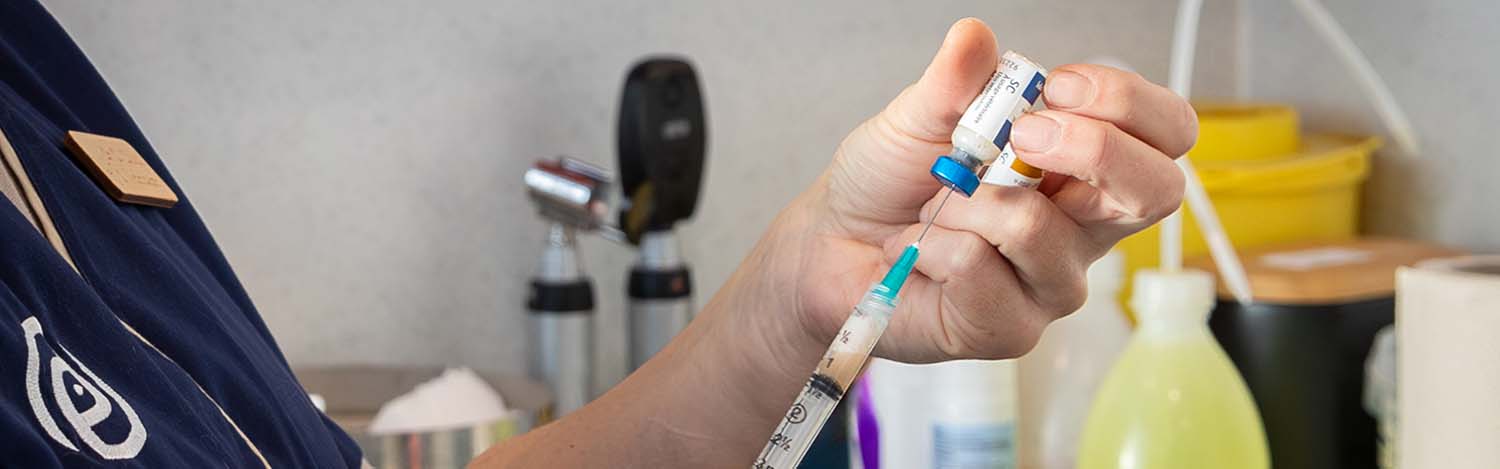 Vaccination chien et chat