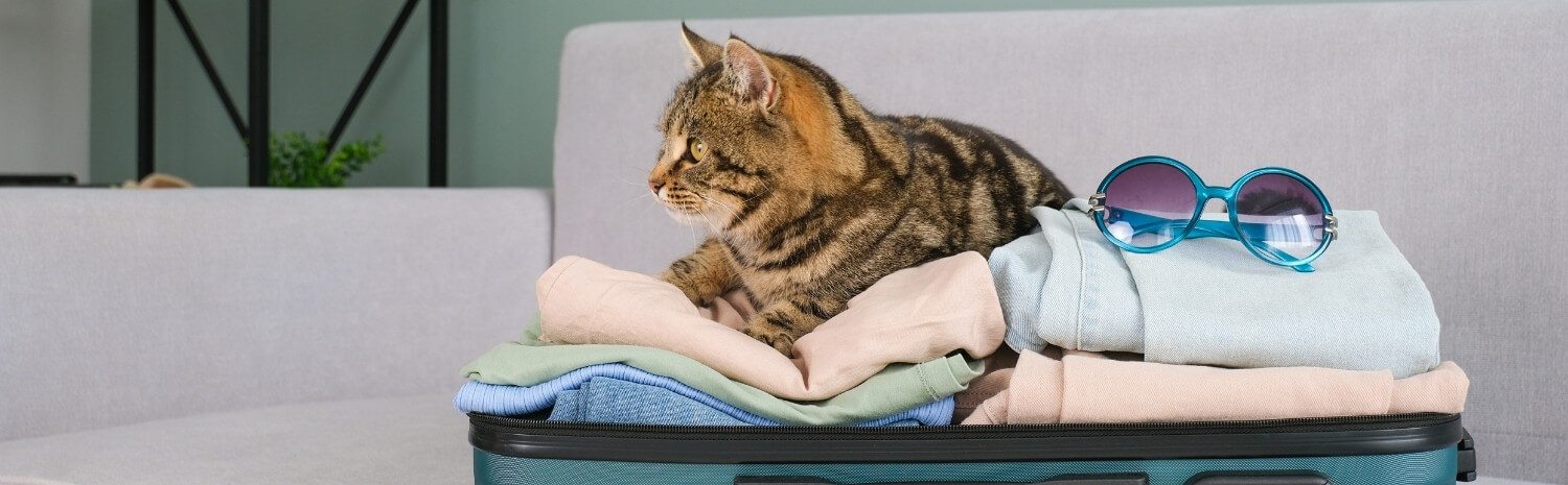 emmener-chat-vacances