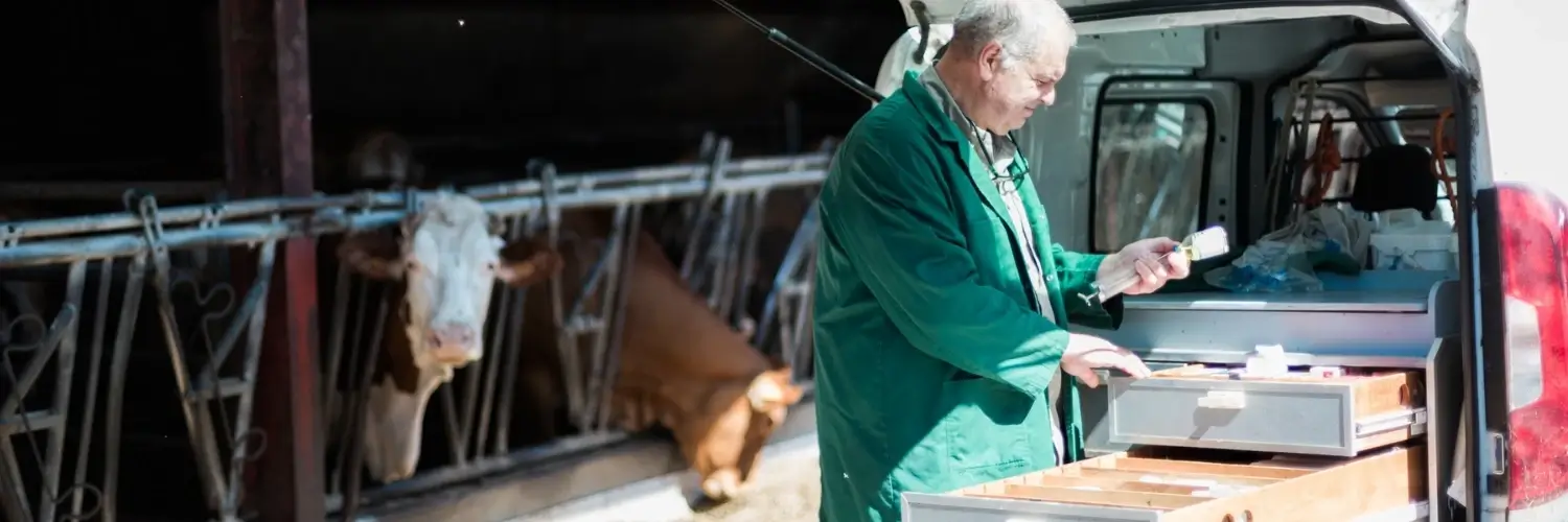 vaccination-animaux-elevage