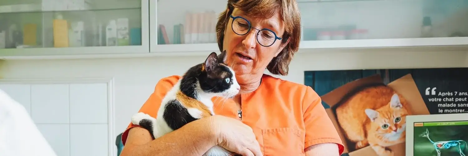 chaleurs-chatte
